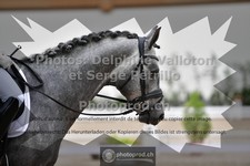 ref. photo 3652466