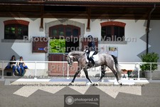 ref. photo 3652541