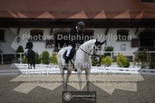 ref. photo 3653002