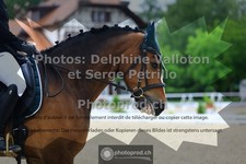 ref. photo 3653141