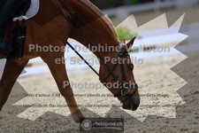 ref. photo 3653346