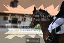 ref. photo 3653431