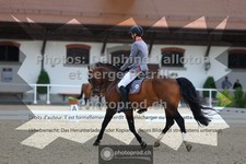 ref. photo 3653661
