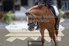 ref. photo 3653692