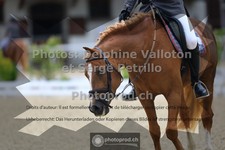 ref. photo 3653693