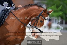 ref. photo 3653695