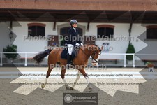 ref. photo 3653736