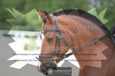 ref. photo 3653807