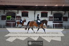 ref. photo 3654014