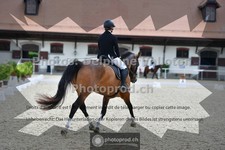 ref. photo 3654030