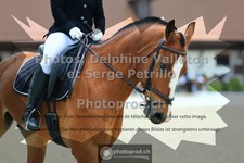 ref. photo 3654106