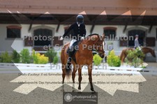 ref. photo 3654135
