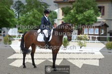 ref. photo 3654197