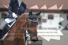 ref. photo 3654350