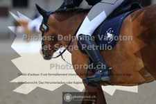 ref. photo 3654813