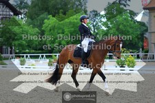 ref. photo 3654999