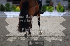 ref. photo 3655008