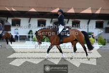 ref. photo 3655014