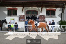 ref. photo 3655091