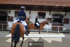 ref. photo 3655161