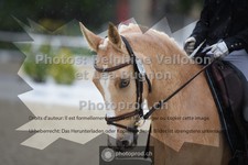 ref. photo 3655294