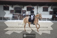 ref. photo 3655308