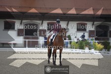 ref. photo 3655411