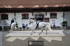 ref. photo 3655841