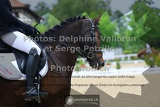 ref. photo 3656049