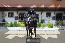 ref. photo 3656081