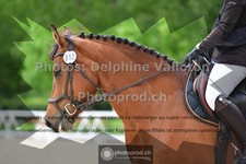 ref. photo 3656089