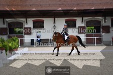 ref. photo 3656100