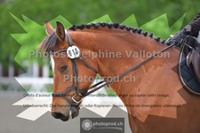 ref. photo 3656105
