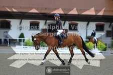 ref. photo 3656139