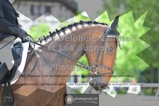 ref. photo 3656204