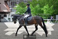 ref. photo 3656319