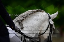 ref. photo 3656449