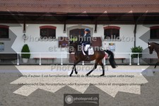 ref. photo 3656646