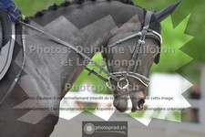 ref. photo 3656708