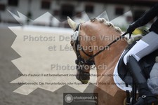 ref. photo 3657217
