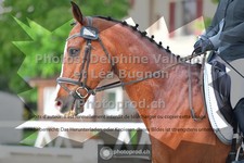 ref. photo 3658011