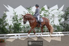 ref. photo 3658060