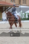 ref. photo 3658066