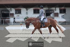 ref. photo 3658083