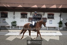 ref. photo 3658350
