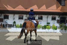 ref. photo 3658516