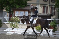 ref. photo 3658603