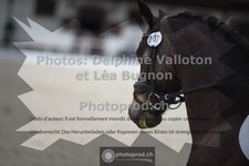 ref. photo 3658610