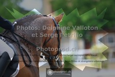 ref. photo 3658808