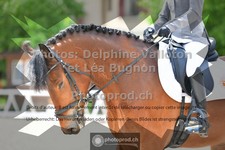ref. photo 3658898